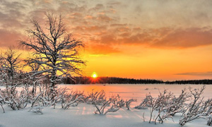 کشف محیطی رنگارنگ با چشم اندازی نفس گیر برای اسکی در فنلاند
