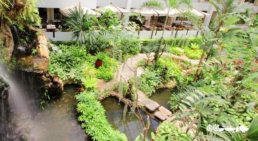 فضای سبز هتل دوسیت تانی پاتایا