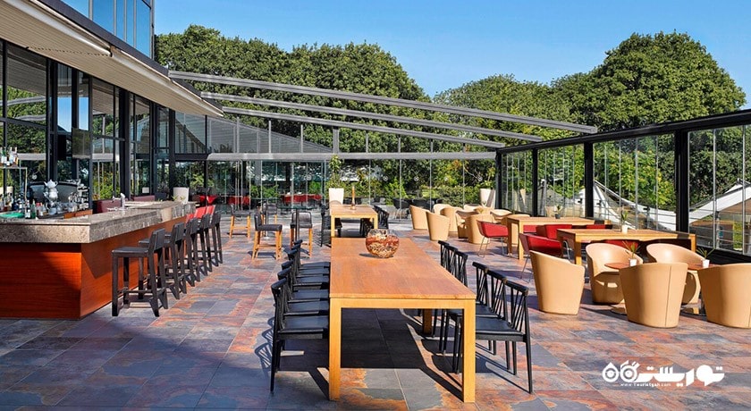 محوطه فضای باز ترندی لانج