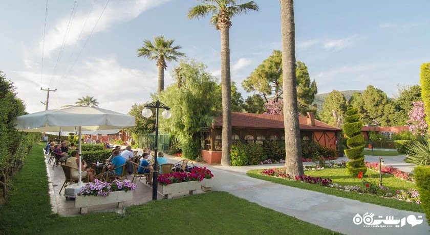 آدا کافه هتل کاستور کلاب هالیدی ویلیج 