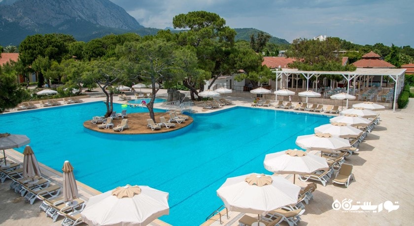 نمای کلی از استخر روباز