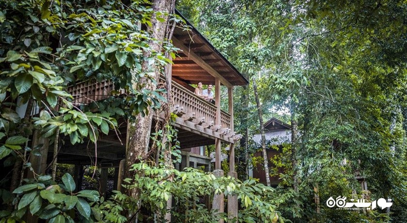 نمای کلی ویلا رینفرست