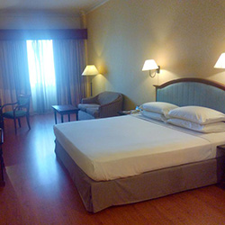 اتاق سینگل (یک نفره)