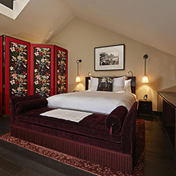 سوئیت جونیور