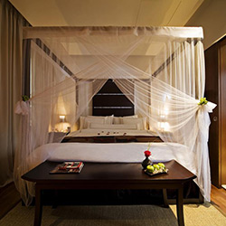 سوئيت استودیو