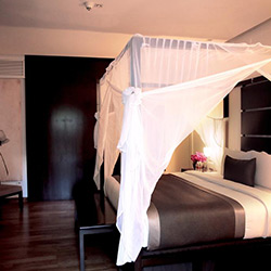 سوئیت کورت یارد