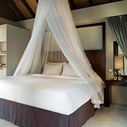 ویلا یک خوابه