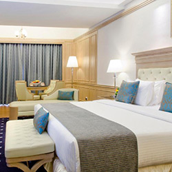 سوئیت جونیور