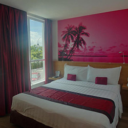 اتاق سینگل (یک نفره)