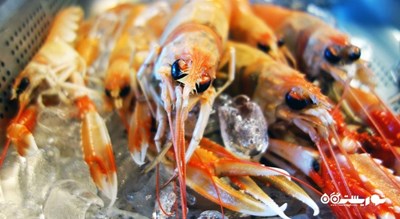 رستوران رستوران نیکول شهر استانبول 