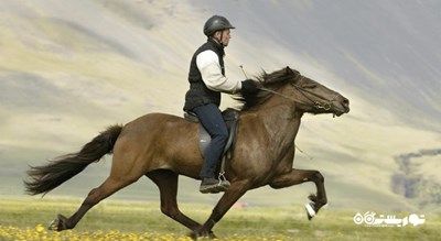 اسب سواری -  شهر استانبول