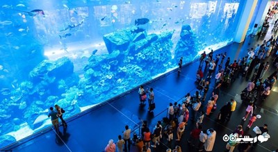 آکواریوم و باغ وحش زیر آبی دبی -  شهر دبی