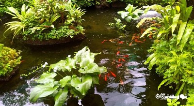 باغ پروانه کوالالامپور شهر مالزی کشور کوالالامپور