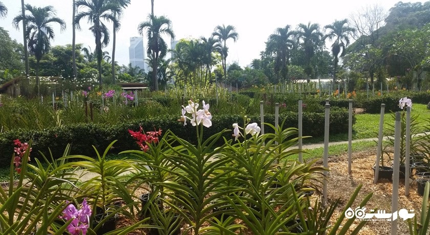  پارک ارکیده کوالالامپور (اورکد پارک) شهر مالزی کشور کوالالامپور