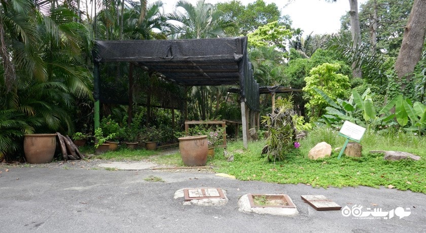  پارک ارکیده کوالالامپور (اورکد پارک) شهر مالزی کشور کوالالامپور