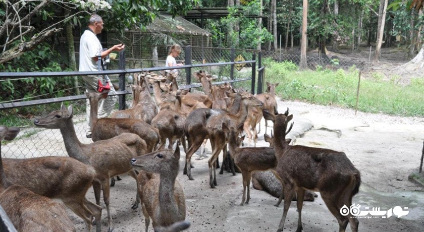  پارک گوزن کوالالامپور شهر مالزی کشور کوالالامپور