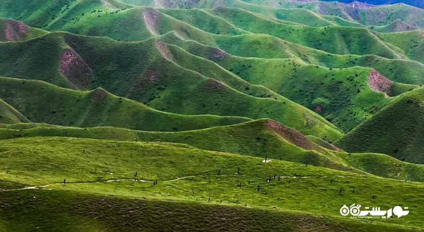 ترکمن صحرا -  شهر گلستان