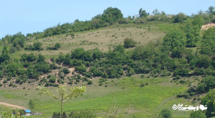  روستای اتو شهرستان مازندران استان پل سفید