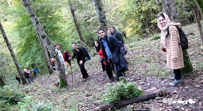  روستای لاجیم شهرستان مازندران استان پل سفید