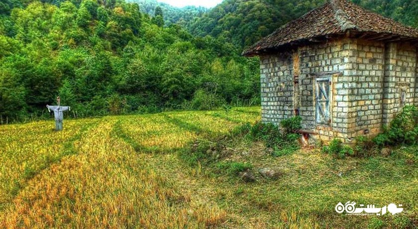  روستای کوته کومه شهرستان گیلان استان آستارا