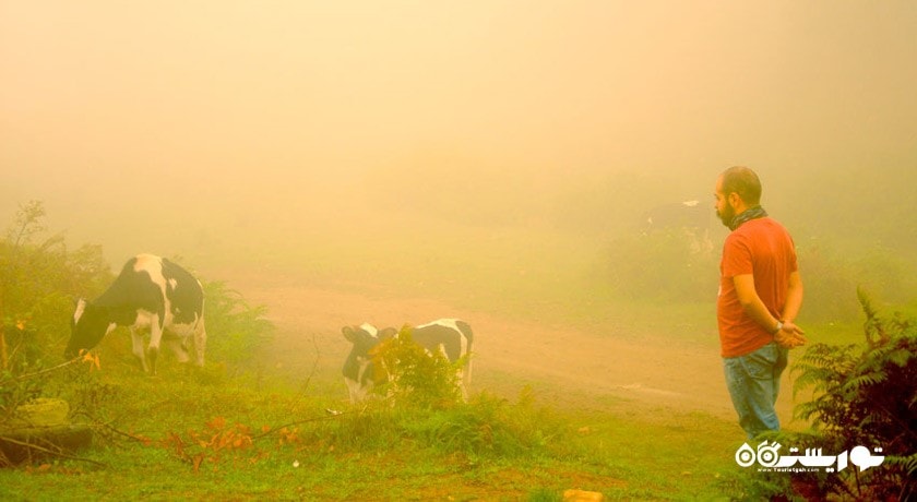  ییلاق بره سر شهرستان گیلان استان رودبار
