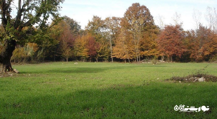 جنگل و چشمه نیلبرگ رامیان -  شهر رامیان