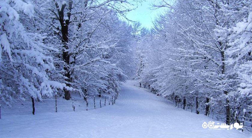 جنگل و چشمه نیلبرگ رامیان -  شهر رامیان