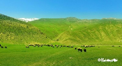  آبشار و دشت دریوک شهرستان مازندران استان آمل