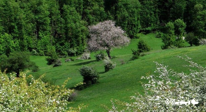  ییلاق سی دشت شهرستان گیلان استان رودبار