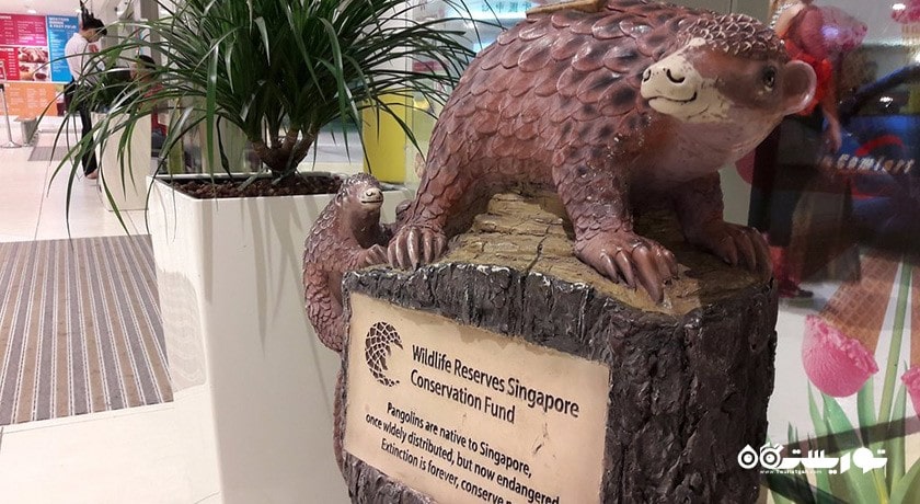 سیتی اسکوئر مال -  شهر سنگاپور