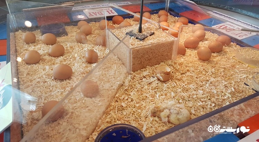  مرکز علم سنگاپور شهر سنگاپور کشور سنگاپور