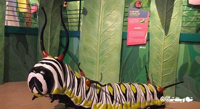  مرکز علم سنگاپور شهر سنگاپور کشور سنگاپور