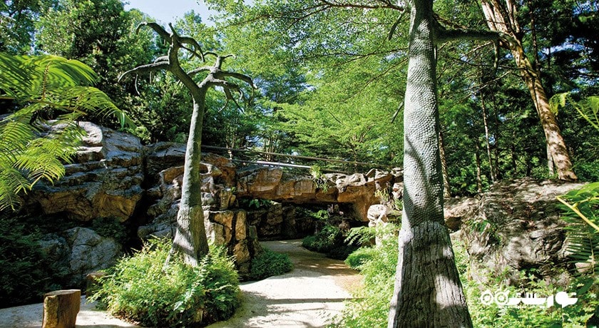 سرگرمی باغ های گیاه شناسی سنگاپور شهر سنگاپور کشور سنگاپور