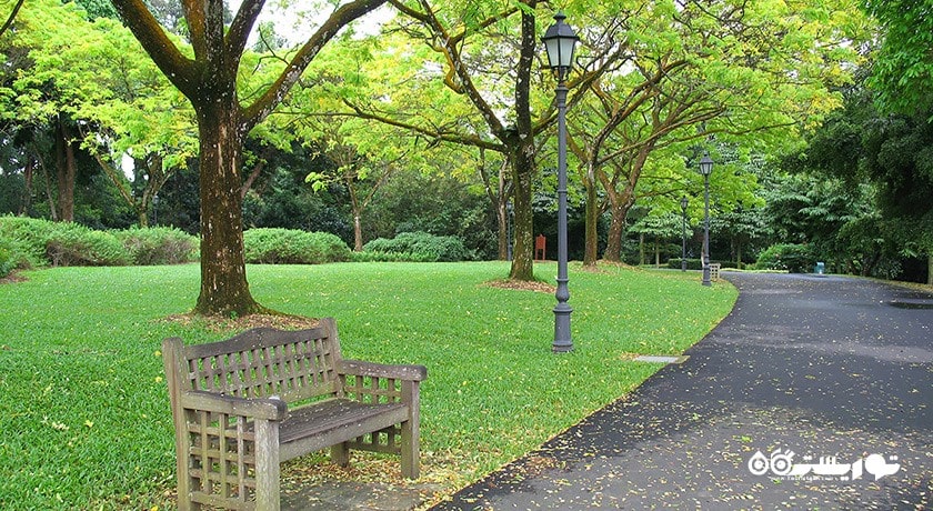 سرگرمی باغ های گیاه شناسی سنگاپور شهر سنگاپور کشور سنگاپور