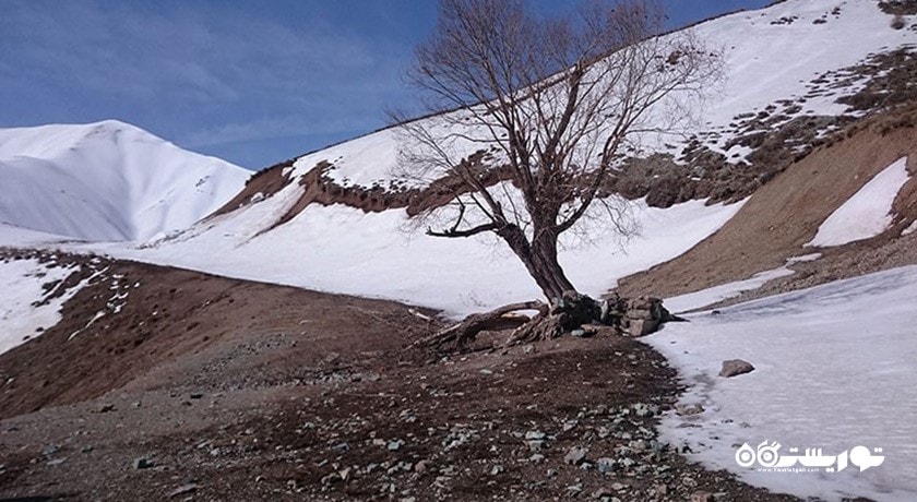 قلعه دزدبند (قلعه دختر شهرستانک) -  شهر البرز