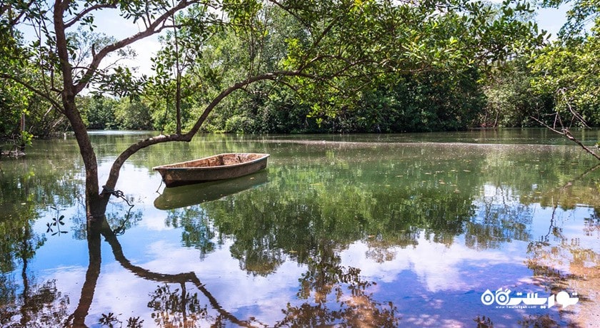 سرگرمی جزیره پولائو اوبین (جزیره گرانیت) شهر سنگاپور کشور سنگاپور