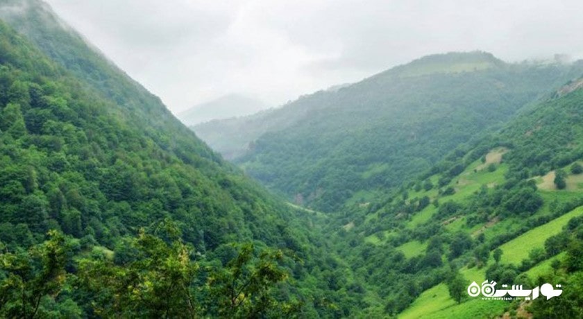  جنگل مشه سویی شهرستان اردبیل استان اردبیل