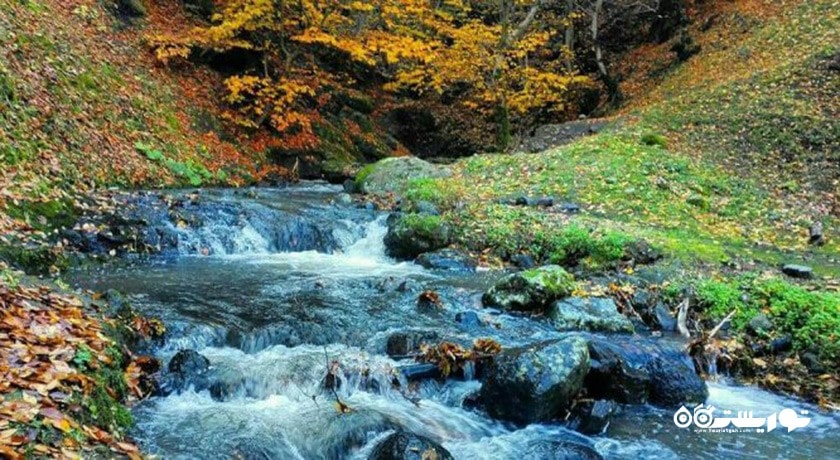  جنگل مشه سویی شهرستان اردبیل استان اردبیل