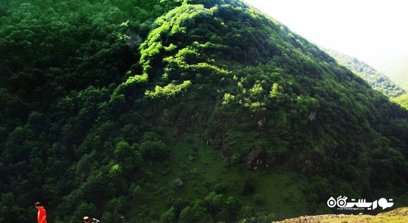  جنگل مشه سویی شهرستان اردبیل استان اردبیل