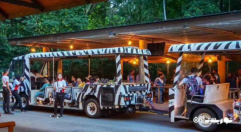 سرگرمی نایت سافاری شهر سنگاپور کشور سنگاپور