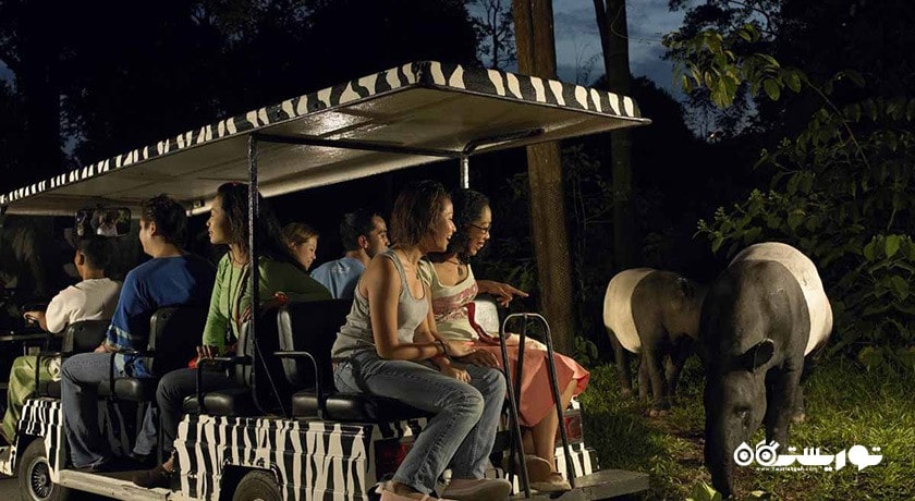 سرگرمی نایت سافاری شهر سنگاپور کشور سنگاپور