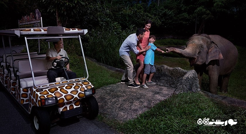 سرگرمی نایت سافاری شهر سنگاپور کشور سنگاپور