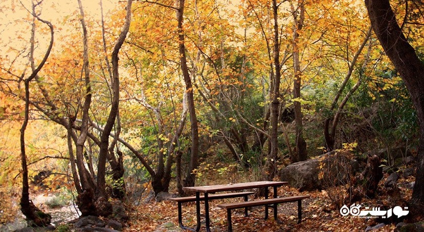 سرگرمی دره هومروس شهر ترکیه کشور ازمیر