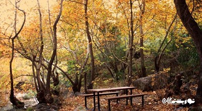 سرگرمی دره هومروس شهر ترکیه کشور ازمیر