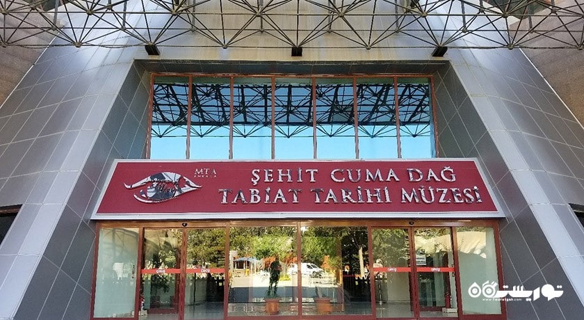  موزه تاریخ طبیعی شهر ترکیه کشور آنکارا