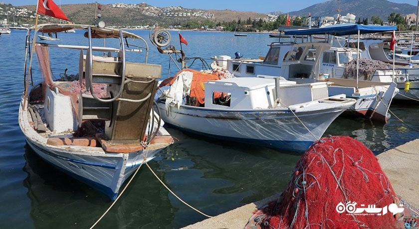 سرگرمی ساحل بیتز شهر ترکیه کشور بدروم