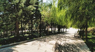  باغ راه فدک (پارک ایران زمین) شهر تهران استان تهران