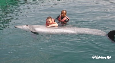 دلفین لند -  شهر مارماریس