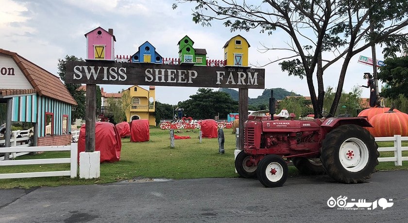 سرگرمی مزرعه گوسفند سوئیسی شهر تایلند کشور پاتایا
