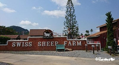 سرگرمی مزرعه گوسفند سوئیسی شهر تایلند کشور پاتایا